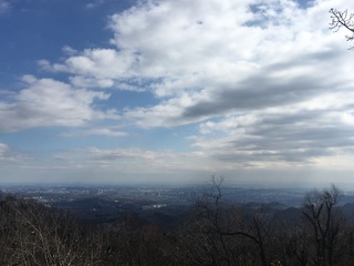 557D17B1-CB01-40AA-87BC-D33BD52D137C.jpeg