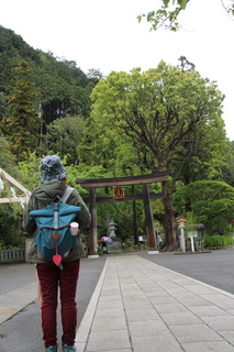 5A316EC6-AC25-4E95-8D85-D67E2CAB537F.jpeg