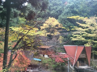5A9E0E47-C045-40A8-A684-6740184E96AA.jpeg