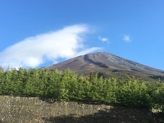 60AB7D2B-01E7-4112-AF64-AF0A19F9E692.jpeg