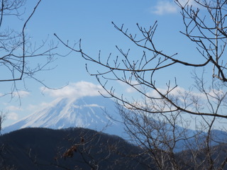 61980D2B-AA10-4A5D-BFCB-1C53D486F1AA.jpeg