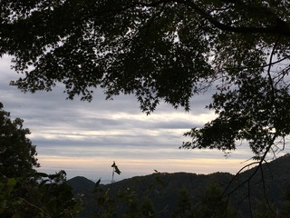 61D62412-B8D3-434B-93B7-14A072C58109.jpeg