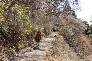 61EC0000-6FEF-4C94-A8F4-49B98666A852.jpeg