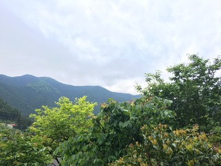 625CEE01-3548-4C84-A3CC-C5A98722C752.jpeg