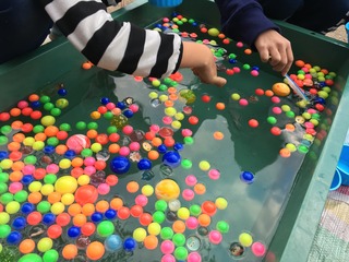 6453C37C-2EC7-4B2C-A276-D1B2E8324E5F.jpeg