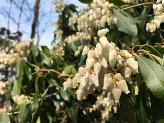 65506192-D75D-4106-8E76-E1506F0D0189.jpeg