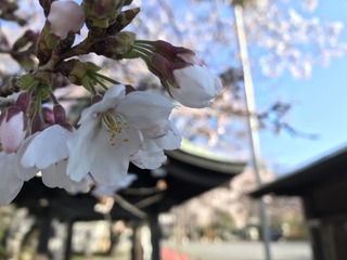 65F5D286-5EBD-4DD6-A2A3-9578F0F3152F.jpeg