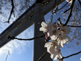 66000F22-7971-4E59-9210-0C811A9CE0C5.jpeg