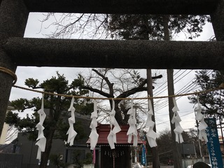 6820F456-A798-46BA-9C0C-8D586200CF56.jpeg