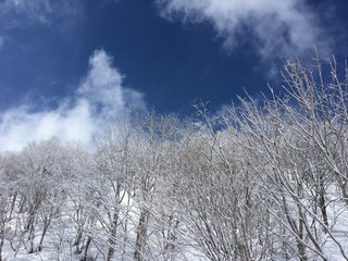 69098730-8D69-468A-9D96-73F85795DE36.jpeg