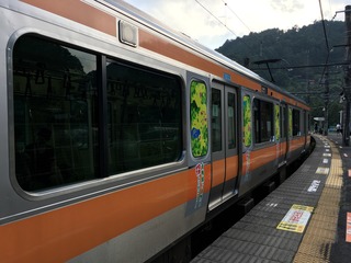 699969D1-FBB0-4F6E-A159-F66A619C0D6A.jpeg