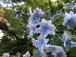 6A06AE8F-968E-4C4D-8A3A-996669E1182F.jpeg