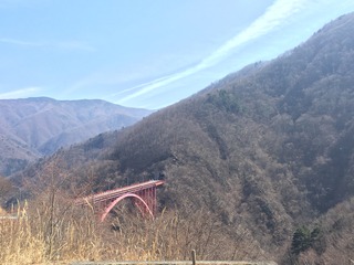 6B4B012D-2D1A-47C0-BECD-5F982C28EDDE.jpeg