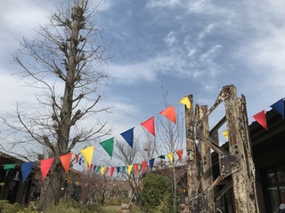 6B980869-B74B-4859-920D-20BA36302C01.jpeg