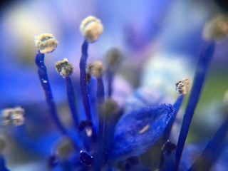 6E8782E0-7985-4936-AE53-638D405DDF80.jpeg