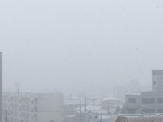 6F7500FC-C6DD-4A3C-B315-A78134462169.jpeg