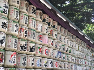 6FF193A4-346C-423C-8C1A-7A88F79A3F44.jpeg