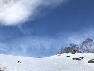 7315831E-1D6A-4845-B52F-F5DF086CBA7E.jpeg
