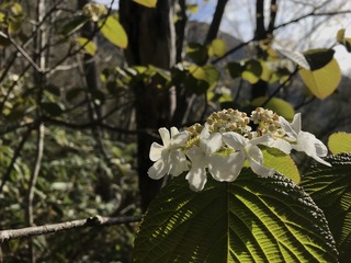 740F9E1E-BEE8-4964-AA11-ADD4C9639CDF.jpeg