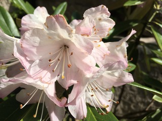 7472AE08-819D-46CC-9DDC-8DF4D57CA2CF.jpeg