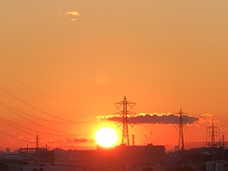78B52C0B-D52E-48D0-91FE-394AE1D2C698.jpeg