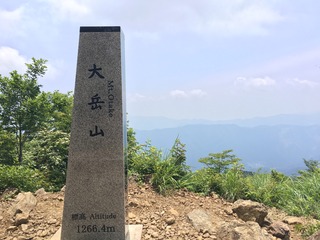 79AB28D9-077D-485A-AA98-A6F925252705.jpeg