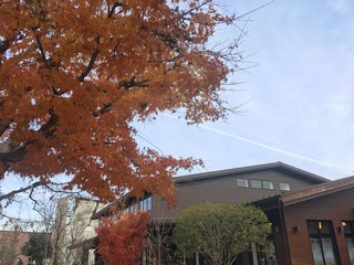 7F8D5A00-6071-4E6C-B205-844814228800.jpeg