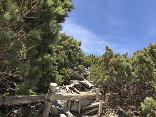 8000B2F0-5FE2-4D1C-BA80-B065296D0206.jpeg