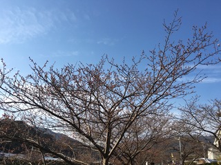 81F31511-178A-4601-82DA-0A8859445D9D.jpeg