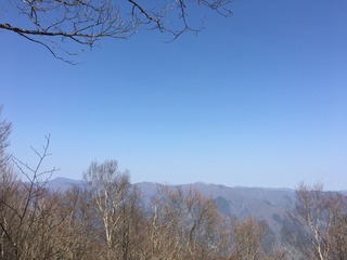 83206741-1B46-429D-990A-E246CF94EF27.jpeg