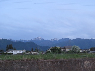 83CDA243-EEBD-468D-9BA7-386F1D451614.jpeg