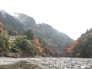8534C02D-05D7-47A6-8EEB-163F36413E18.jpeg