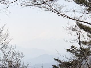 86156D65-F1A8-47C2-B798-2BE64A1480C6.jpeg