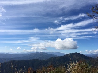 8664B744-5C95-4A67-B0A9-C2E7F676AF40.jpeg