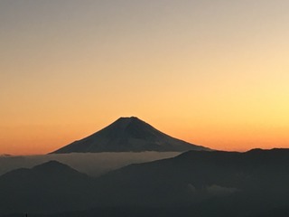 894C975E-6086-4D2B-A2BA-EF180FE68381.jpeg