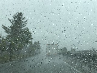 89AD3495-60B2-407E-9268-713F43E49F01.jpeg