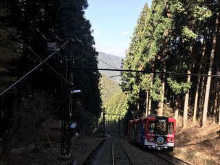 8B10E779-9C45-4C09-99F1-A1C80E1FCF5D.jpeg