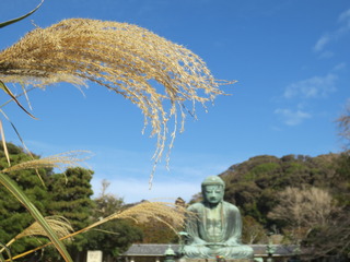8D01A516-408F-43B0-9E16-9AC4BE88CA48.jpeg