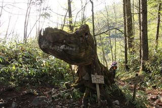 8D11221F-0A3F-48D4-8575-CE3114A395BE.jpeg