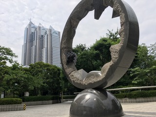 8D527036-D1BC-4950-9C3D-2F7A2922B154.jpeg