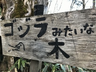 8D6238BF-86B2-4B27-94B8-7FAA1AB9A630.jpeg