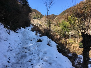 8F1A0651-18A3-443E-9A2E-1AFB1507529A.jpeg
