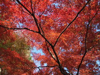 8F4B6765-6D81-4DD7-A45E-5CD81FAF90F0.jpeg