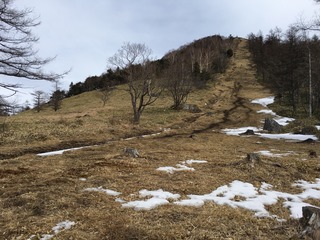 8F658425-2AB1-43EB-A4CA-02125FC53766.jpeg