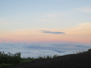 8F993474-EF92-4EC8-9241-DE99088E3F33.jpeg