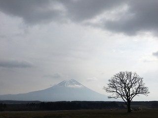 91A58891-4737-48F8-867E-75BB08DEB759.jpeg