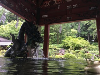 92034F01-CA40-44F1-A2DD-55472D691CB4.jpeg