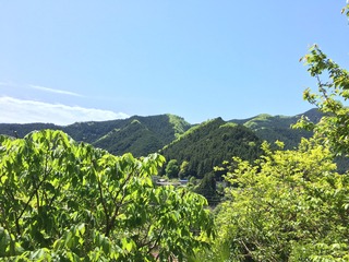 9304556D-DD7F-4FC5-A196-A74ADE17B882.jpeg
