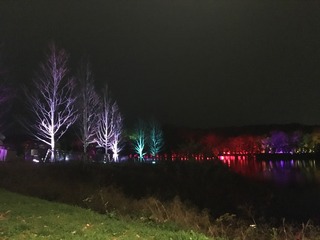 95178413-06A8-42B6-9709-F38830876F09.jpeg
