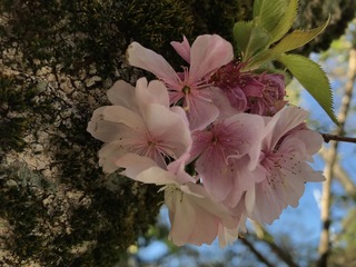 96A285D8-B473-4D3A-9F4A-4B935F54D35C.jpeg